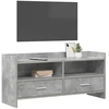 TV staliukas Televizoriaus spintelė 100 x 33 x 47 cm Betono pilka
