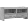 TV staliukas Televizoriaus spintelė 100 x 33 x 47 cm Pilka Sonoma