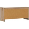 TV staliukas Televizoriaus spintelė 100 x 33 x 47 cm Artisano ąžuolo
