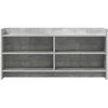 TV staliukas Televizoriaus spintelė 100 x 33 x 47 cm Betono pilka