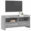 TV staliukas Televizoriaus spintelė 100 x 33 x 47 cm Pilka Sonoma