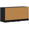 TV staliukas Televizoriaus spintelė 100 x 34 x 50 cm Juodojo ąžuolo