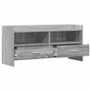TV staliukas Televizoriaus spintelė 100 x 33 x 47 cm Pilka Sonoma