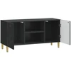 TV staliukas Televizoriaus spintelė 102 x 34,5 x 50 cm Juoda