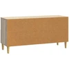TV staliukas Televizoriaus spintelė 102 x 34,5 x 50 cm Sonoma ąžuolas