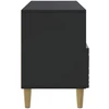 TV staliukas Televizoriaus spintelė 102 x 34,5 x 50 cm Juoda