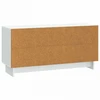 TV staliukas Televizoriaus spintelė 102 x 34,5 x 50 cm Balta