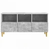 TV staliukas Televizoriaus spintelė 102 x 34,5 x 50 cm Betono pilka