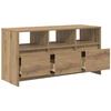 TV staliukas Televizoriaus spintelė 102 x 37,5 x 52,5 cm Artisano ąžuolo