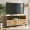 TV staliukas Televizoriaus spintelė 102 x 34,5 x 50 cm Artisano ąžuolo