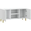 TV staliukas Televizoriaus spintelė 102 x 34,5 x 50 cm Balta
