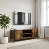 TV staliukas Televizoriaus spintelė 119 x 33 x 50 cm Dūminio ąžuolo