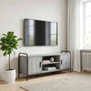 TV staliukas Televizoriaus spintelė 119 x 33 x 50 cm Pilka Sonoma
