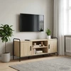 TV staliukas Televizoriaus spintelė 119 x 33 x 50 cm Sonoma ąžuolas
