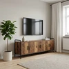 TV staliukas Televizoriaus spintelė 146 x 33 x 50 cm Sendintos medienos