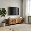 TV staliukas Televizoriaus spintelė 146 x 33 x 50 cm Sendintos medienos