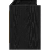TV staliukas Televizoriaus spintelė 168 x 33 x 47 cm Juodojo ąžuolo