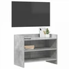 TV staliukas Televizoriaus spintelė 60 x 33 x 47 cm Betono pilka