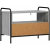 TV staliukas Televizoriaus spintelė 67,5 x 33 x 50 cm Pilka Sonoma