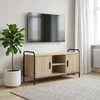 TV staliukas Televizoriaus spintelė 99 x 33 x 50 cm Sonoma ąžuolas