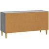TV staliukas Televizoriaus spintelė 99 x 34,5 x 50 cm Pilka Sonoma