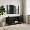 TV staliukas Televizoriaus spintelė 99 x 33 x 50 cm Juodojo ąžuolo
