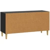 TV staliukas Televizoriaus spintelė 99 x 34,5 x 50 cm Juoda Apdirbta mediena