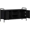 TV staliukas Televizoriaus spintelė 99 x 33 x 50 cm Juodojo ąžuolo