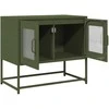 TV staliukas televizoriaus spintelė alyvuogių žalia 68x39x60,5 cm
