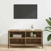 TV staliukas Televizoriaus spintelė 100 x 40 x 50 cm Amatininkų ąžuolas