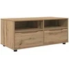 TV staliukas Televizoriaus spintelė 100 x 48 x 43 cm Amatininkų ąžuolas