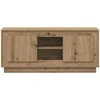 TV staliukas Televizoriaus spintelė 102 x 35 x 45 cm Amatininkų ąžuolas