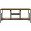 TV staliukas Televizoriaus spintelė 100 x 35 x 45 cm Amatininkų ąžuolas