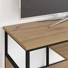 TV staliukas Televizoriaus spintelė 100 x 35 x 45 cm Amatininkų ąžuolas