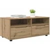 TV staliukas Televizoriaus spintelė 100 x 48 x 43 cm Amatininkų ąžuolas