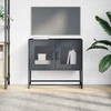 TV staliukas televizoriaus spintelė antracitas šaltai valcuotas plienas