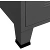 TV staliukas Televizoriaus spintelė, antracito spalvos, 105x35x42cm, metalas