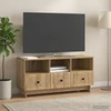 TV staliukas Televizoriaus spintelė 102 x 34,5 x 50 cm Artisano ąžuolo