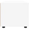 TV staliukas Televizoriaus spintelė Balta 100 x 48 x 43 cm Apdirbta mediena