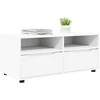 TV staliukas Televizoriaus spintelė Balta 100 x 48 x 43 cm Apdirbta mediena