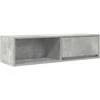 TV staliukas Televizoriaus spintelė, betono, 100x31x25,5cm, apdirbta mediena