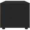 TV staliukas Televizoriaus spintelė 100 x 48 x 43 cm Juoda Apdirbta mediena