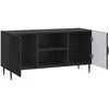 TV staliukas Televizoriaus spintelė Juoda 102 x 34,5 x 50 cm