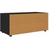 TV staliukas Televizoriaus spintelė Juoda 100 x 48 x 43 cm Apdirbta mediena