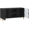TV staliukas Televizoriaus spintelė Juoda 102 x 34,5 x 50 cm
