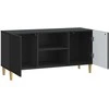 TV staliukas Televizoriaus spintelė Juoda 102 x 34,5 x 50 cm