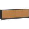 TV staliukas Televizoriaus spintelė Juoda 150 x 31 x 47 cm Apdirbta mediena