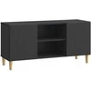TV staliukas Televizoriaus spintelė Juoda 102 x 34,5 x 50 cm