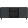 TV staliukas Televizoriaus spintelė Juoda 102 x 34,5 x 50 cm