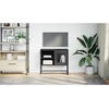 TV staliukas Televizoriaus spintelė, juodos spalvos, 68x39x60,5cm, plienas